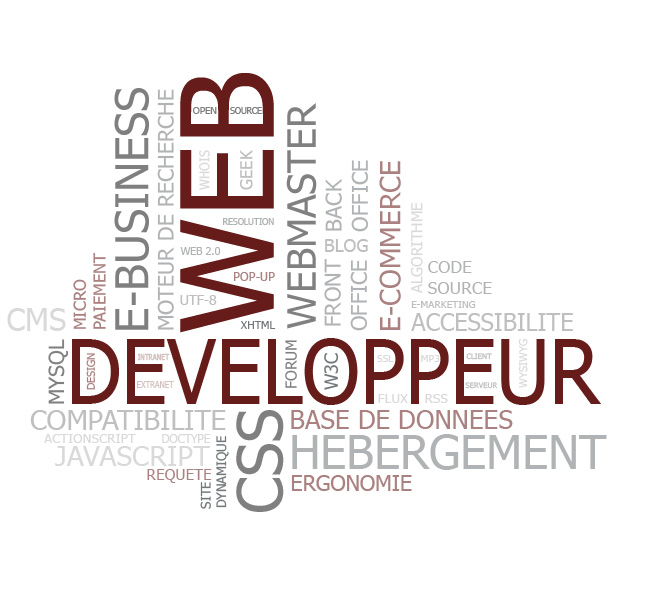 web developper
