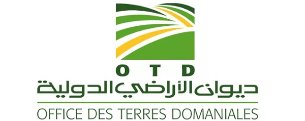 ديوان الأراضي الدولية