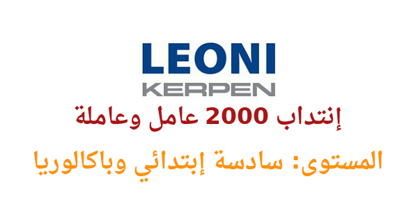 leoni f866d