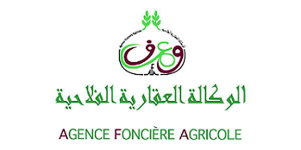 afg 030dd