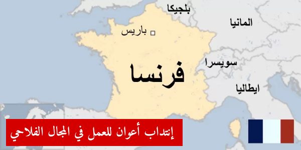 france 20eae