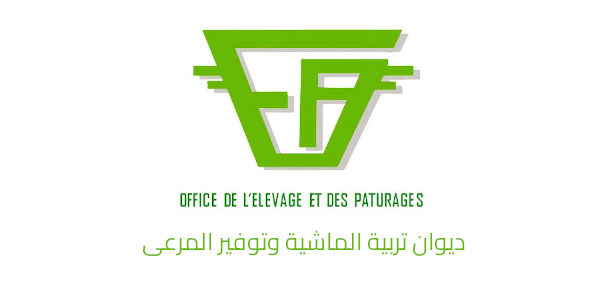oep daaab