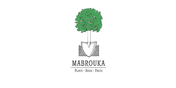 mabrouka c3470