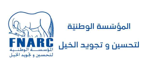 Logo ENISo Horizontal fdb8c