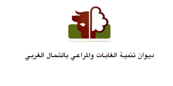 odno ea4e8